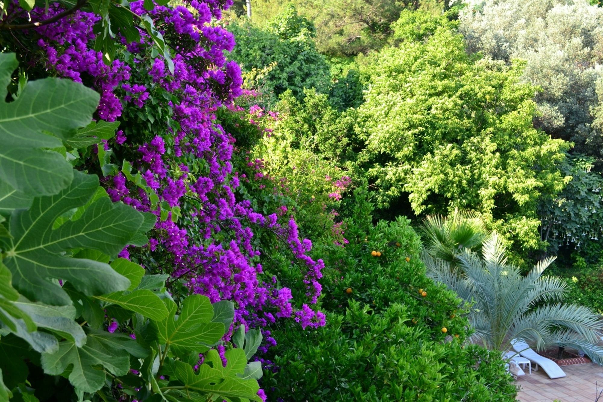 Paradise Garden Hotel โอลลุนเดนิซ ภายนอก รูปภาพ